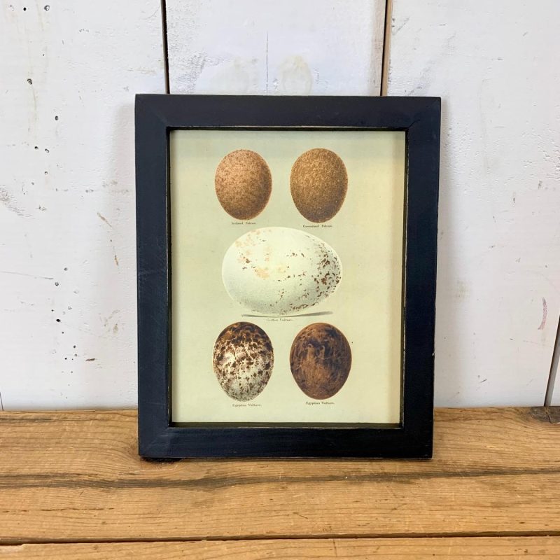 Wall Art | Black Frame Egg Wooden Wall Art, 2 Styles Wall Art Wall Art