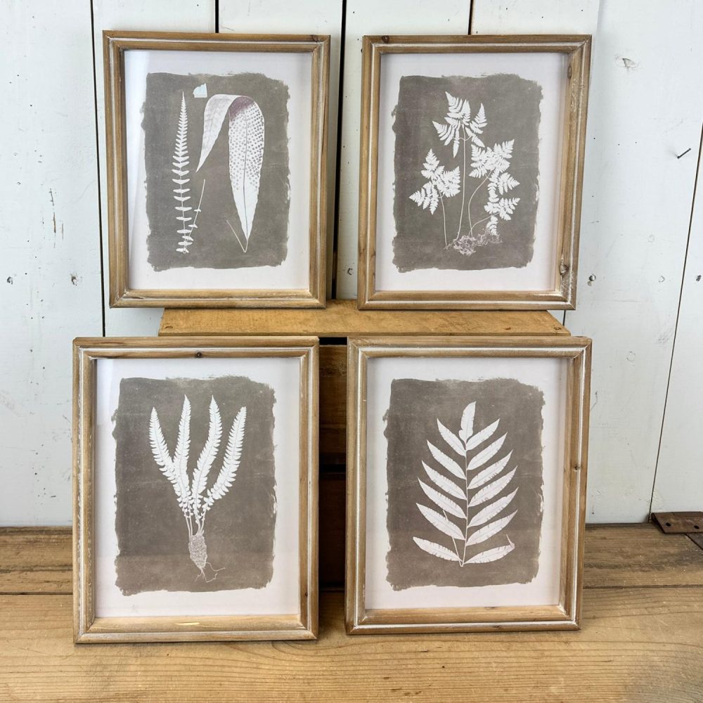 Wall Art | Set of 4 Fern Prints Wall Art Wall Art