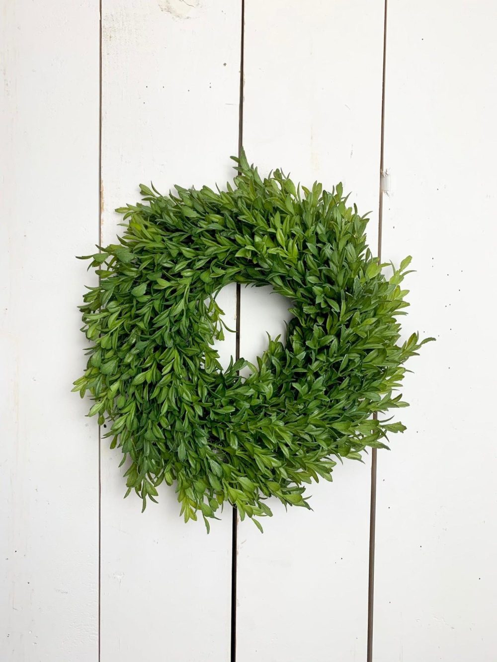 Wreaths & Candle Rings | 6” Boxwood Candle Ring Florals & Greenery Greenery