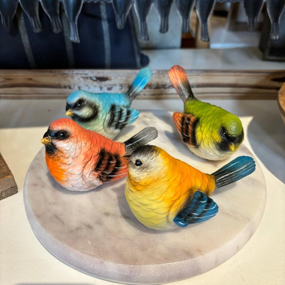 Birds | Colorful Birds – 4 Colors Birds Birds