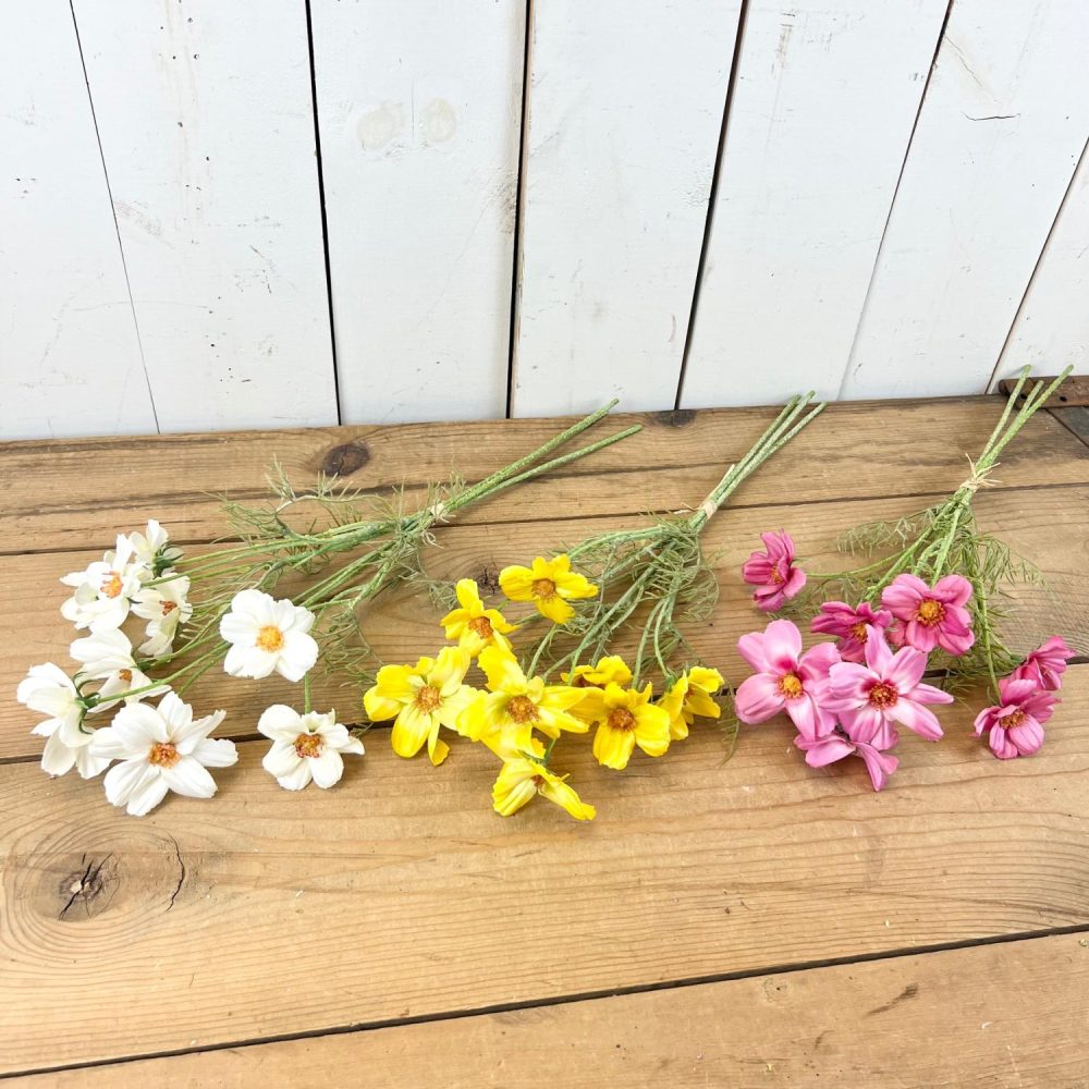 Seasonal Florals | Cosmos Stems Florals & Greenery Seasonal Florals